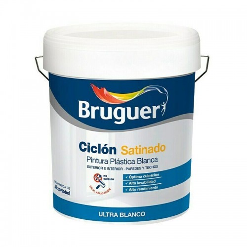 Pintura Plástica Ciclón -... 2